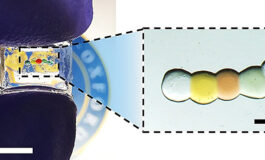 Battery Charged by Tears for Smart Contact Lenses